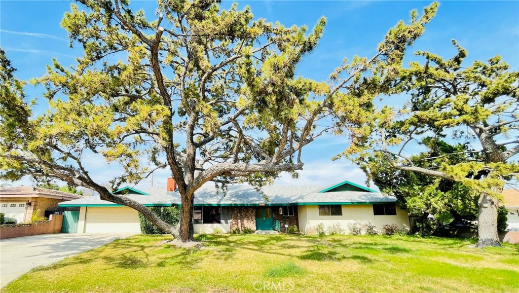5875 Olive Avenue Rialto, CA 92377 - Photo 3 of 54 a front view of a house with swimming pool