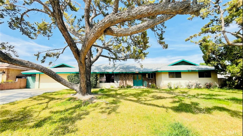 5875 Olive Avenue Rialto, CA 92377 - Photo 4 of 54 a white house that has a tree in front of it