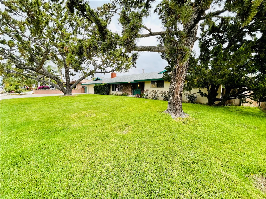 5875 Olive Avenue Rialto, CA 92377 - Photo 8 of 54 a front view of a house with yard and tree