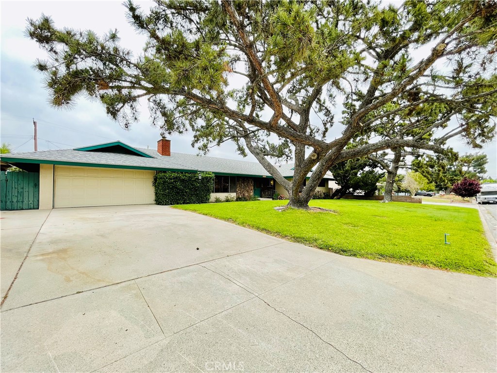 5875 Olive Avenue Rialto, CA 92377 - Photo 9 of 54 a view of yard with swimming pool and green space