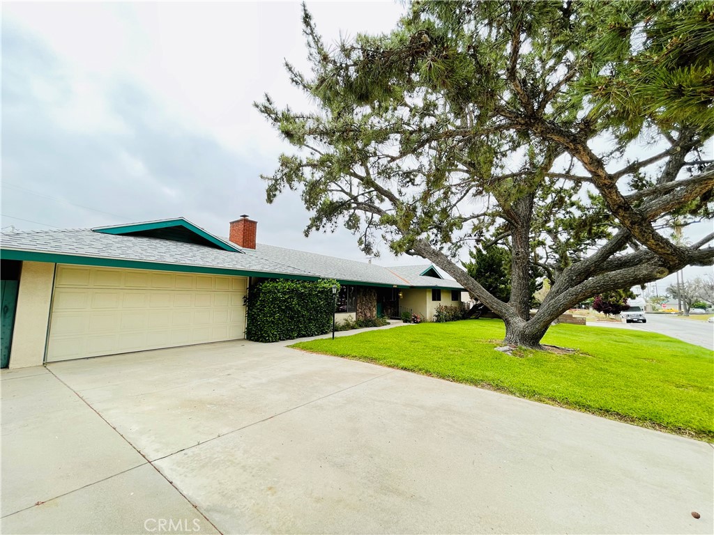 5875 Olive Avenue Rialto, CA 92377 - Photo 10 of 54 a view of outdoor space yard and garage