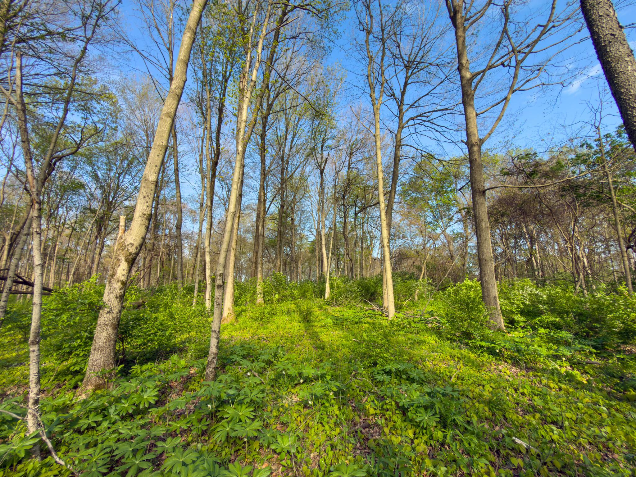 9874 Cincinnati-Zanesville Road Southwest Amanda, OH 43102 - Photo 29 of 50 cinci-zane rd sw-29