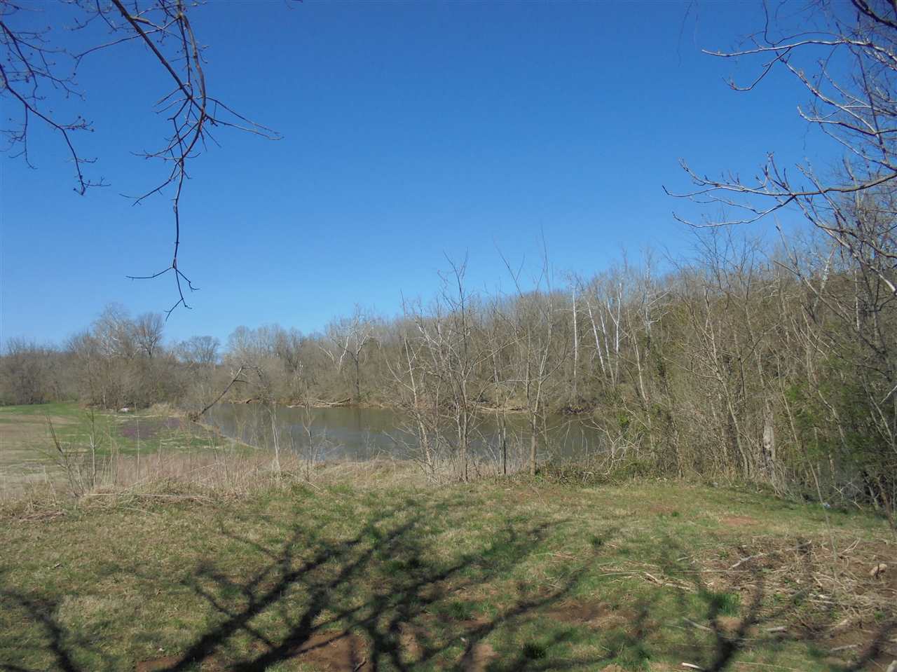Tbd East Timber Ridge Road Mount Crawford, VA 22841 - Photo 13 of 13 a view of a yard with a tree
