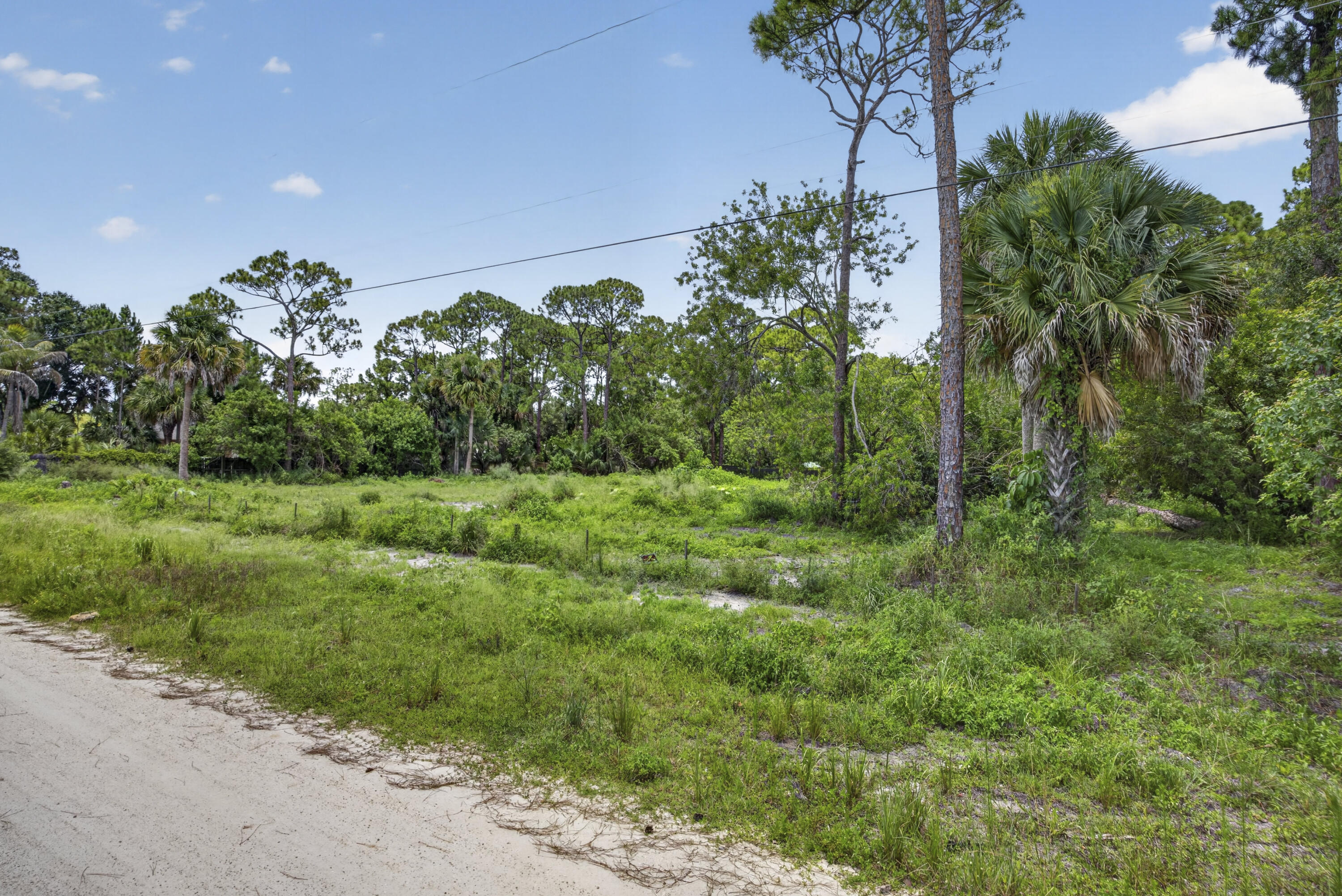 17072 93rd Road North The Acreage, FL 33470 - Photo 17 of 22 BS1A9404