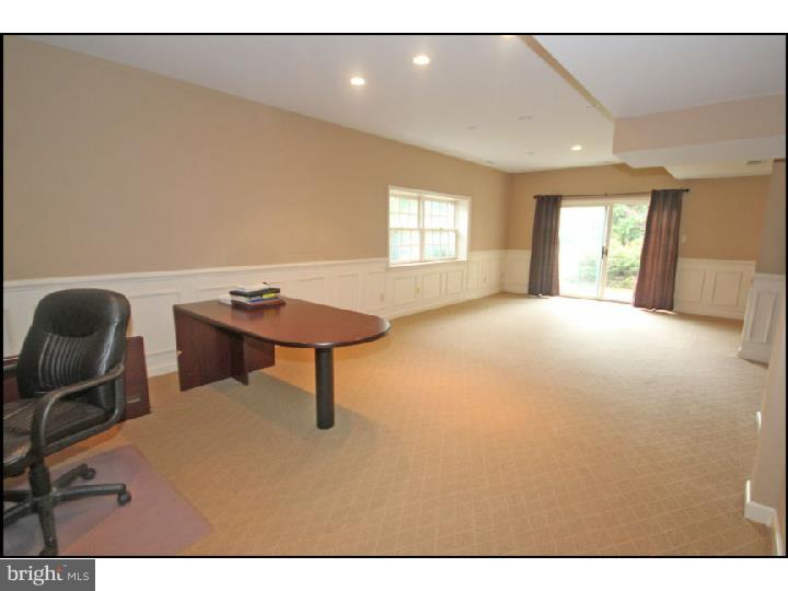 865 Springbank Lane Wayne, PA 19087 - Photo 23 of 25 Rec Room