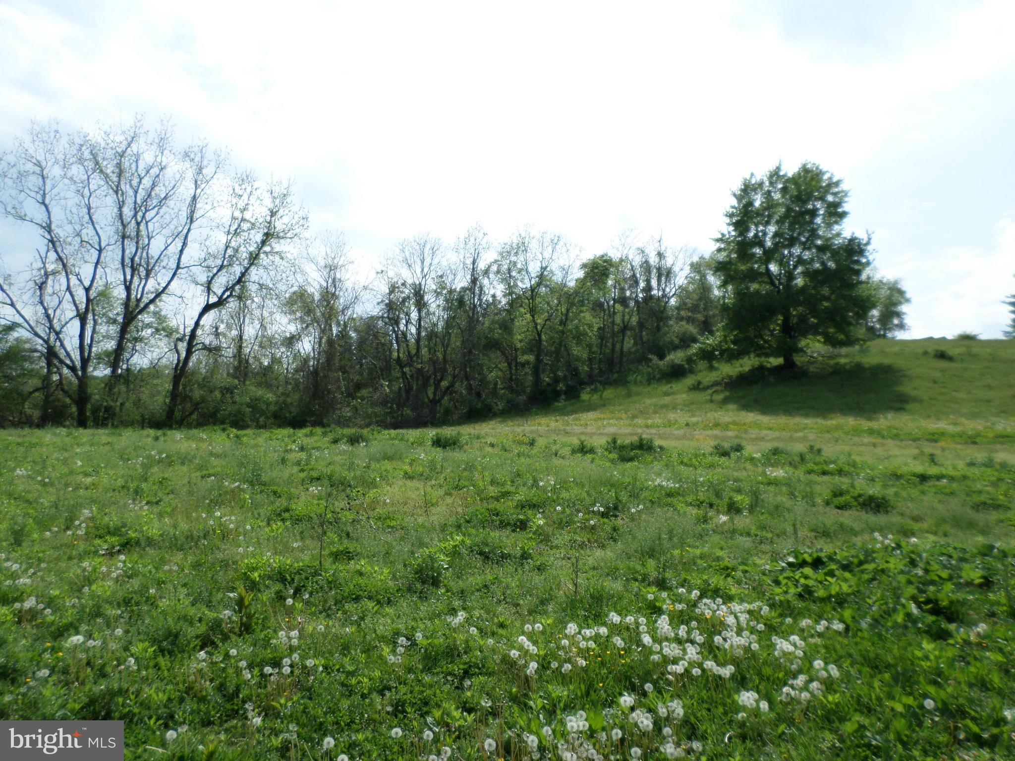 10703 Coppermine Road Woodsboro, MD 21798 - Photo 11 of 19 Exterior (General)