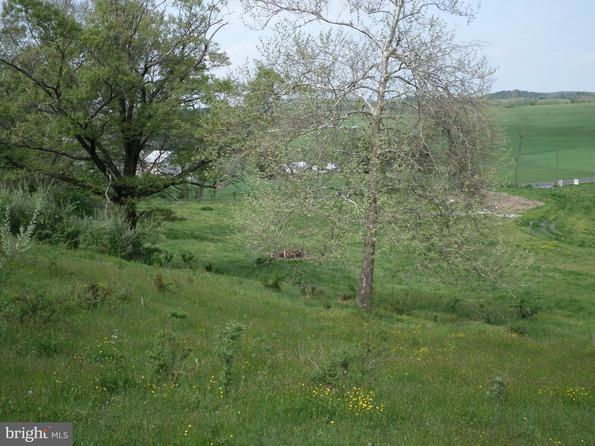 10703 Coppermine Road Woodsboro, MD 21798 - Photo 17 of 19 land