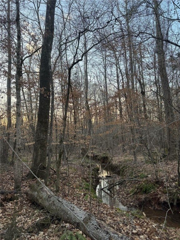 2 Old Columbus Road Opelika, AL 36804 - Photo 2 of 13 Gallery Image 2