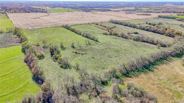 $849,900 | 342 Southwest 701st Road, Centerview, MO 64019