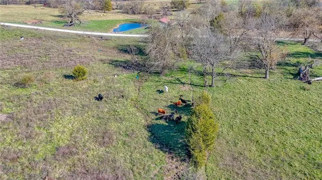 $849,900 | 342 Southwest 701st Road, Centerview, MO 64019