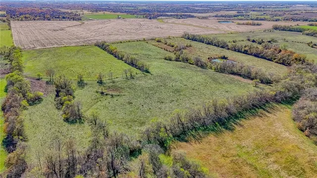 $849,900 | 342 Southwest 701st Road, Centerview, MO 64019