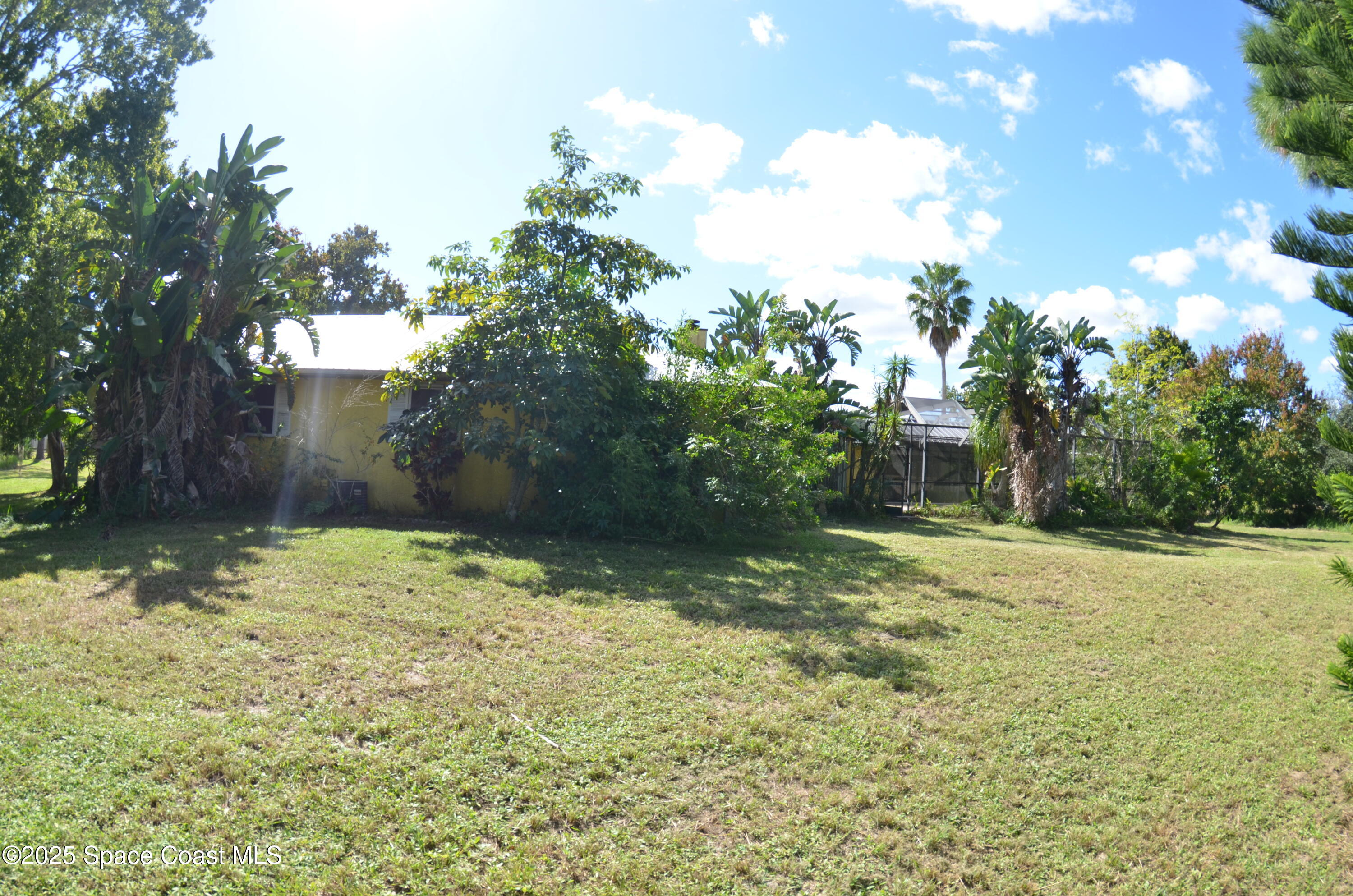 3600 Corey Road Malabar, FL 32950 - Photo 12 of 46 a yard with a trees