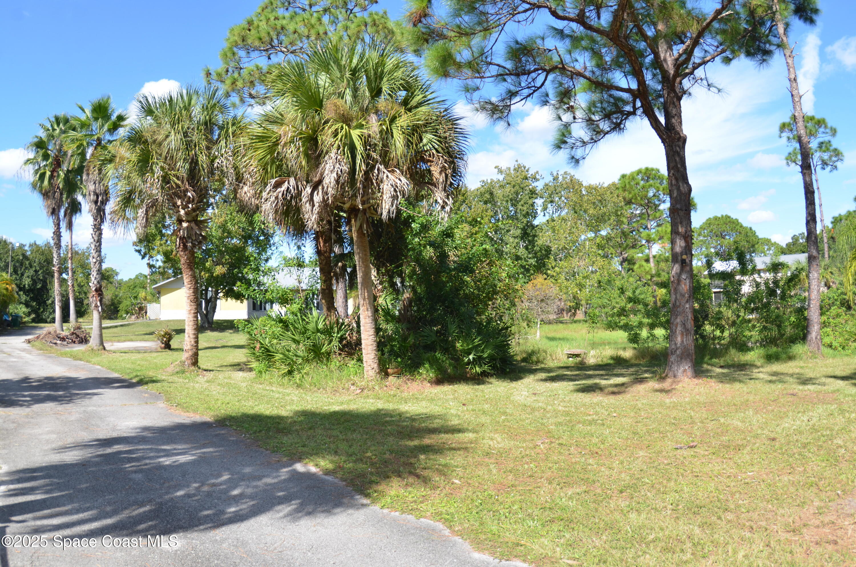 3600 Corey Road Malabar, FL 32950 - Photo 2 of 46 a view of backyard with tree