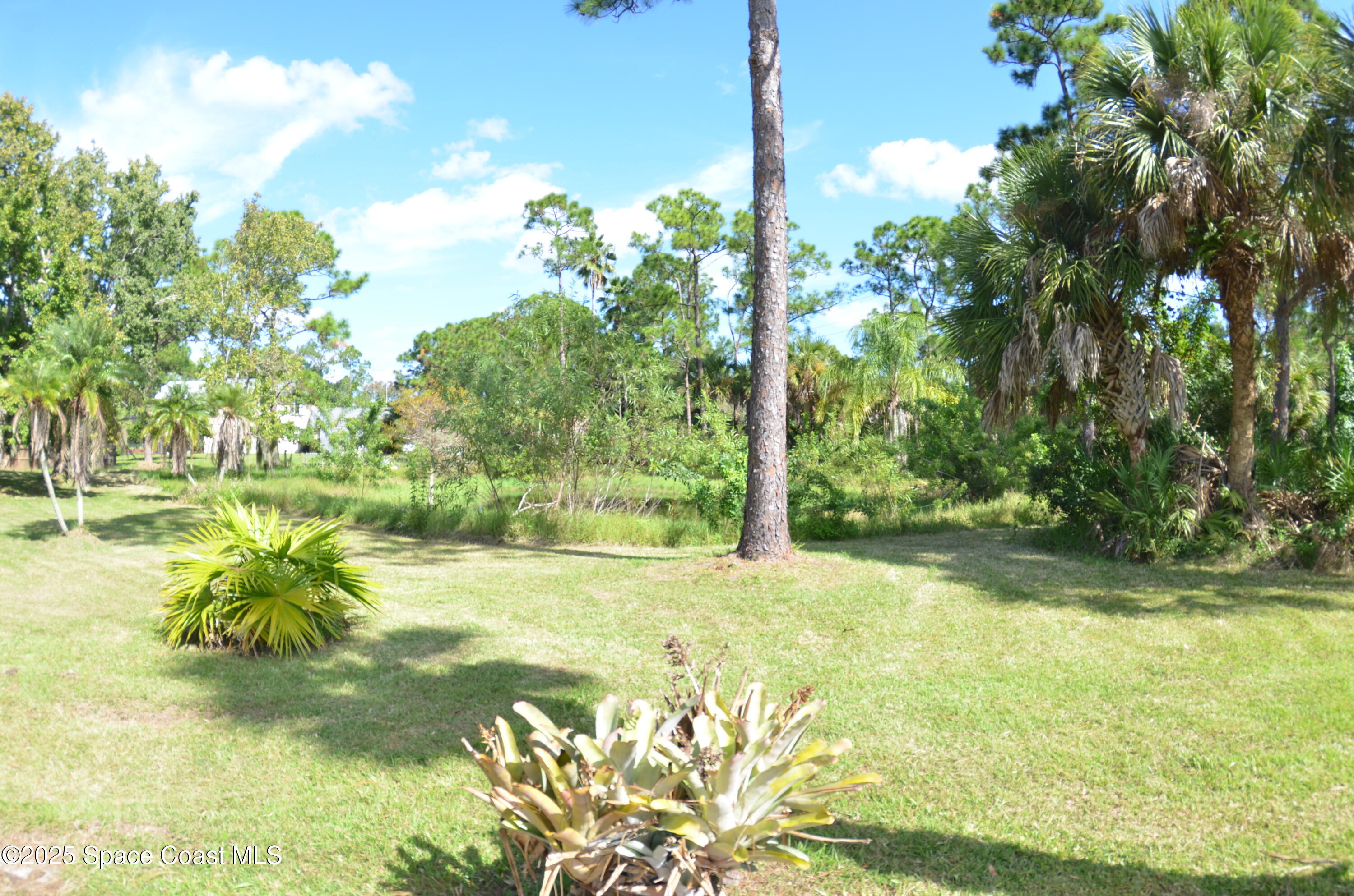 3600 Corey Road Malabar, FL 32950 - Photo 4 of 46