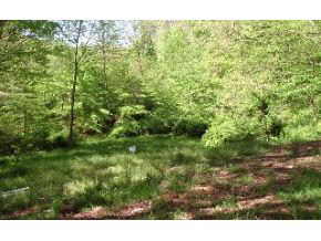 6970 State Road Bloomington, IN 47401 - Photo 11 of 16 Gallery Image 11