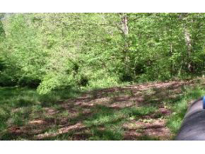 6970 State Road Bloomington, IN 47401 - Photo 13 of 16 Gallery Image 13