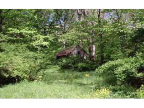 6970 State Road Bloomington, IN 47401 - Photo 15 of 16 Gallery Image 15