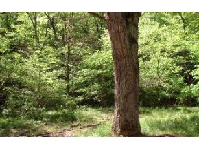 6970 State Road Bloomington, IN 47401 - Photo 6 of 16 Gallery Image 6