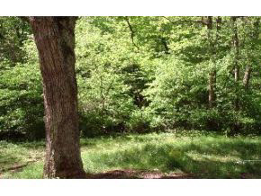 6970 State Road Bloomington, IN 47401 - Photo 7 of 16 Gallery Image 7