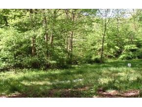6970 State Road Bloomington, IN 47401 - Photo 9 of 16 Gallery Image 9