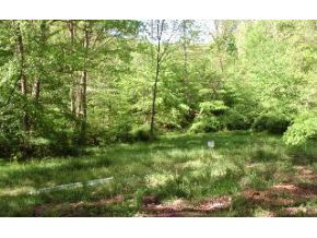6970 State Road Bloomington, IN 47401 - Photo 10 of 16 Gallery Image 10