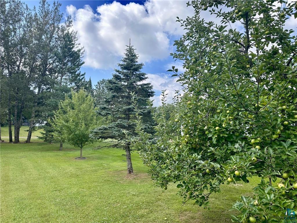177 Wagon Road Esko, MN 55733 - Photo 57 of 61