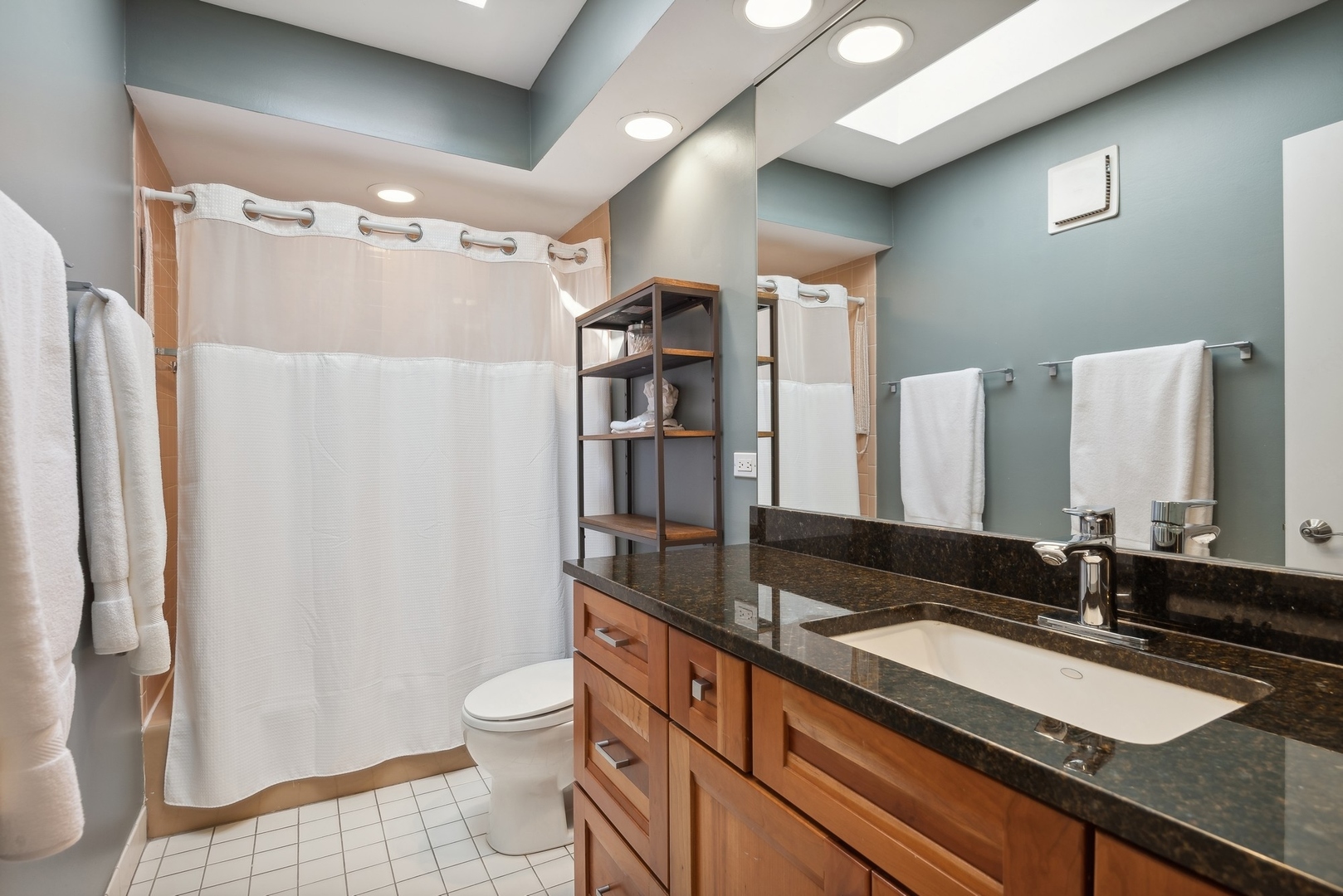 816 Echo Lane Glenview, IL 60025 - Photo 16 of 25 a bathroom with a double vanity sink toilet and shower