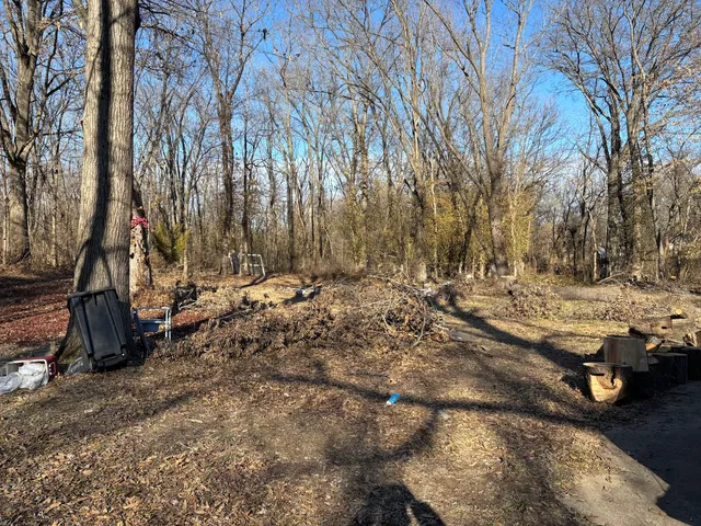 $17,500 | 1406 Dial Street, Benton, IL 62812