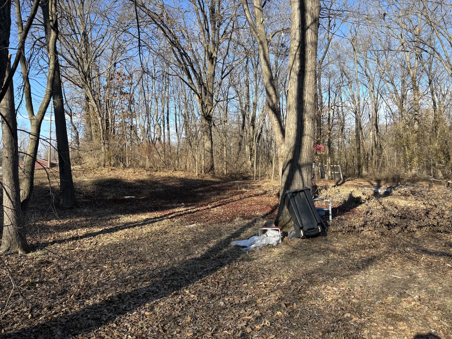 1406 Dial Street Benton, IL 62812 - Photo 2 of 5