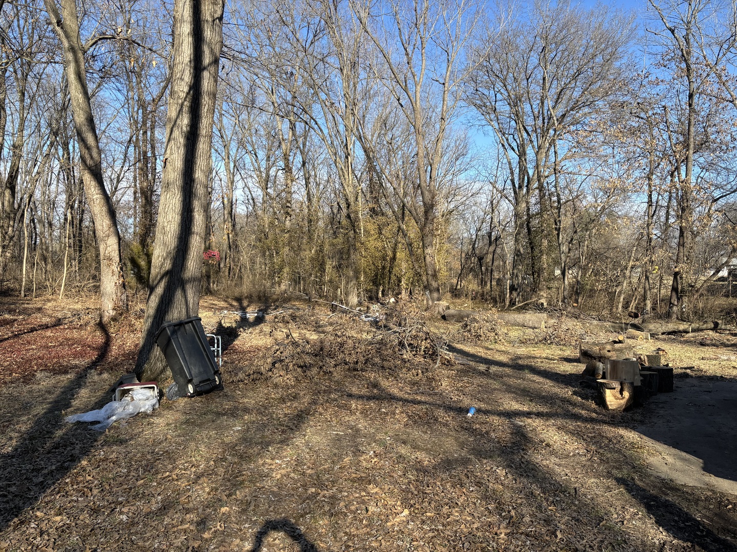 1406 Dial Street Benton, IL 62812 - Photo 3 of 5