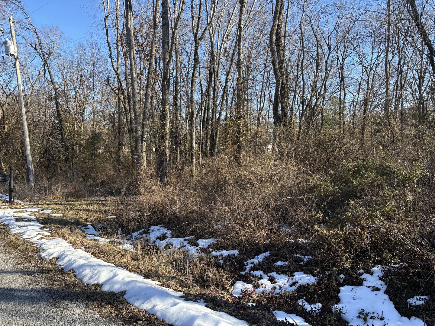 1406 Dial Street Benton, IL 62812 - Photo 5 of 5