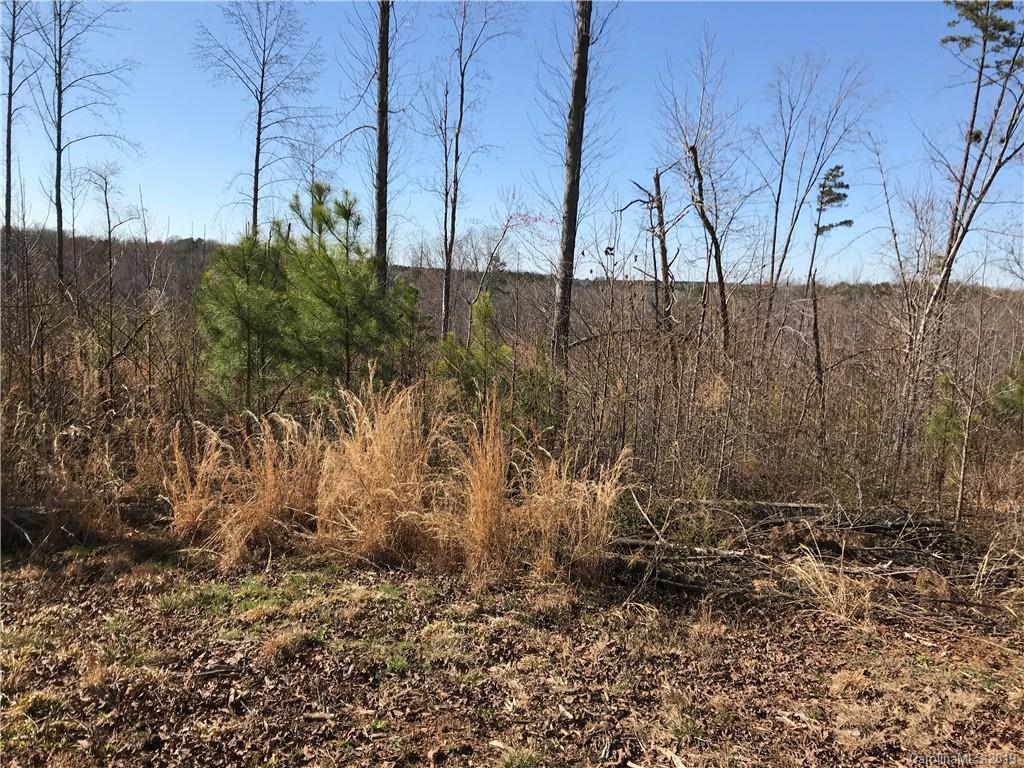 0 Troutman Farm Road Statesville, NC 28677 - Photo 2 of 6 a view of back yard