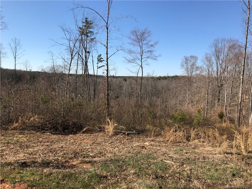 0 Troutman Farm Road Statesville, NC 28677 - Photo 3 of 6 a view of a backyard