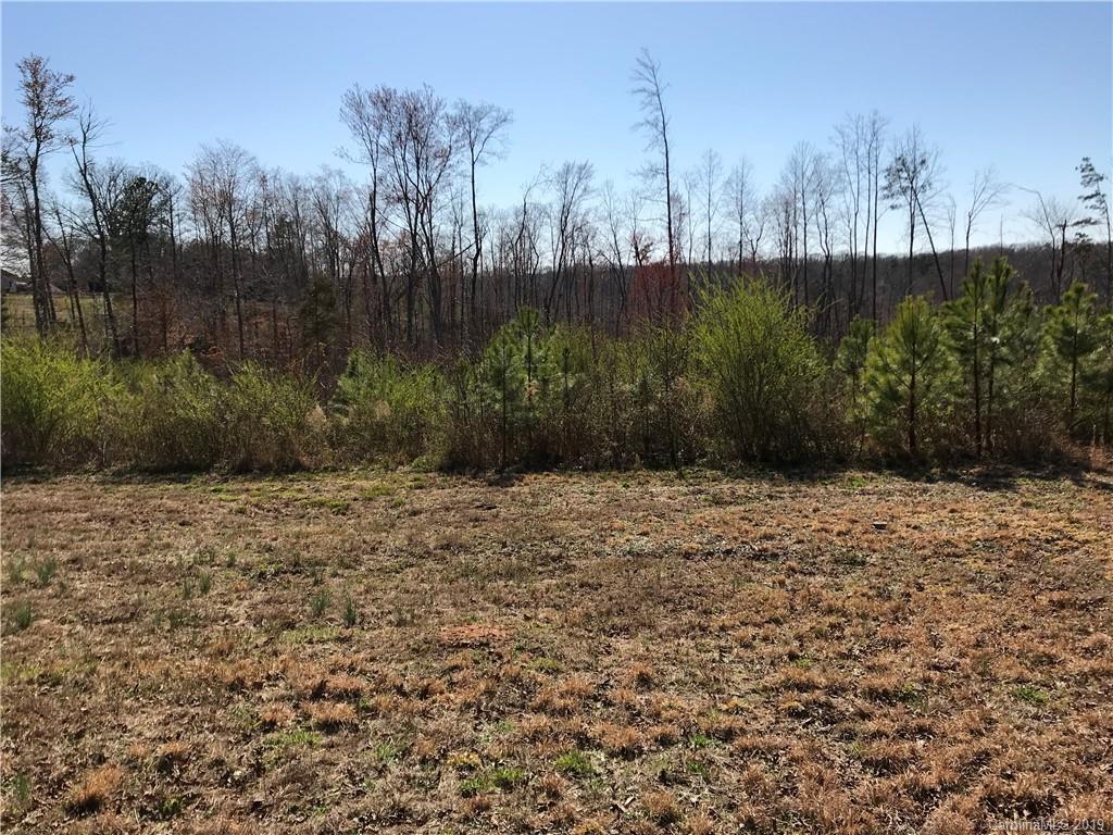 0 Troutman Farm Road Statesville, NC 28677 - Photo 4 of 6 a view of backyard with green space