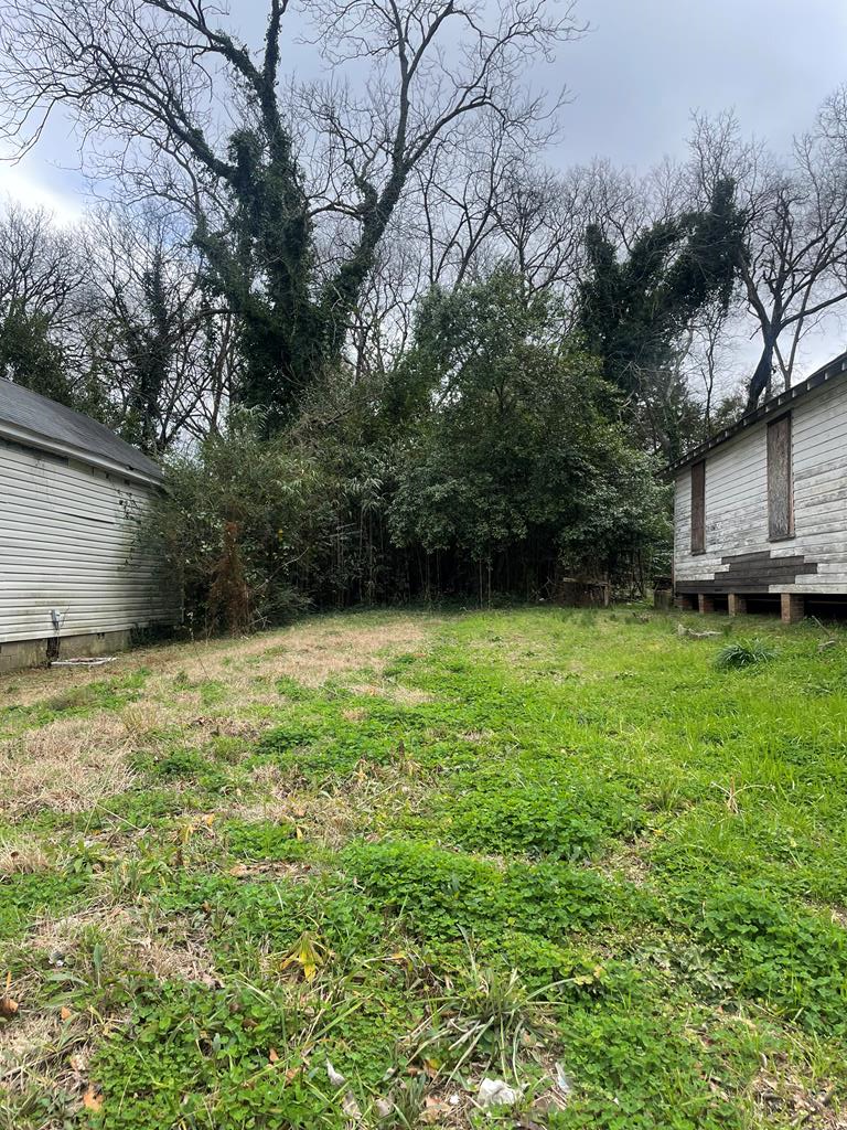 1420 26th Street Columbus, GA 31901 - Photo 1 of 2 a view of a backyard with a garden