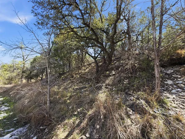 a view of a yard with a tree
