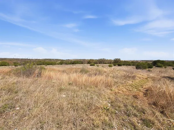 a view of a dry yard with trees