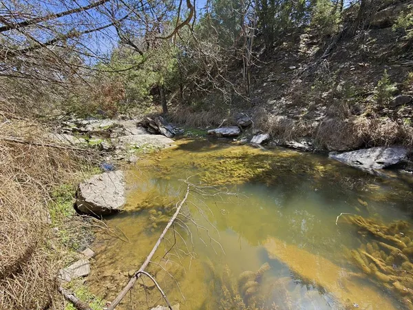 a view of a yard with lots of trees