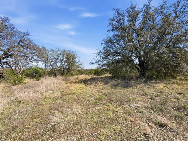 a view of a yard with a tree