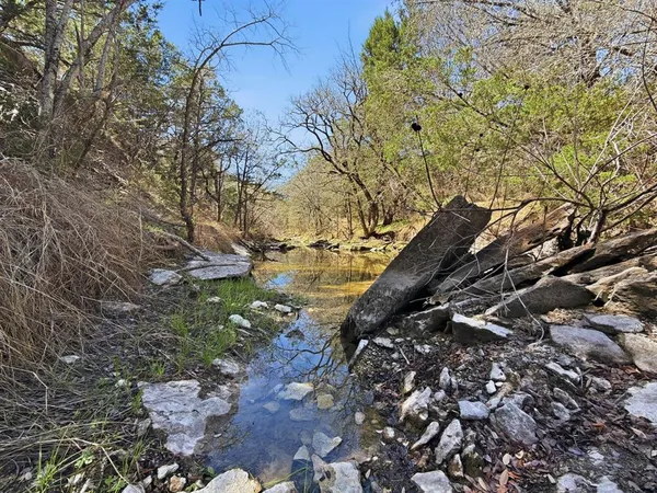 a view of a yard with a tree