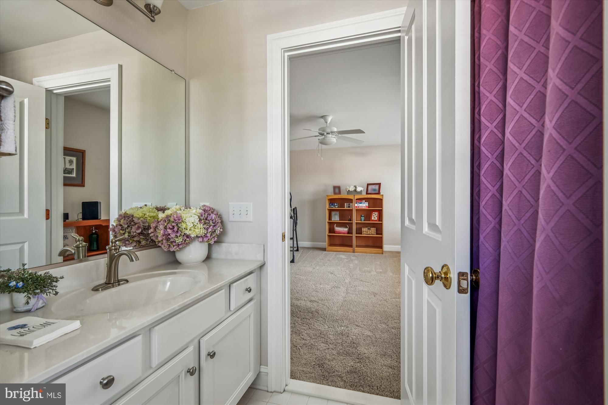 635 Dominion Road Chester, MD 21619 - Photo 31 of 50 a bathroom with a sink and a mirror