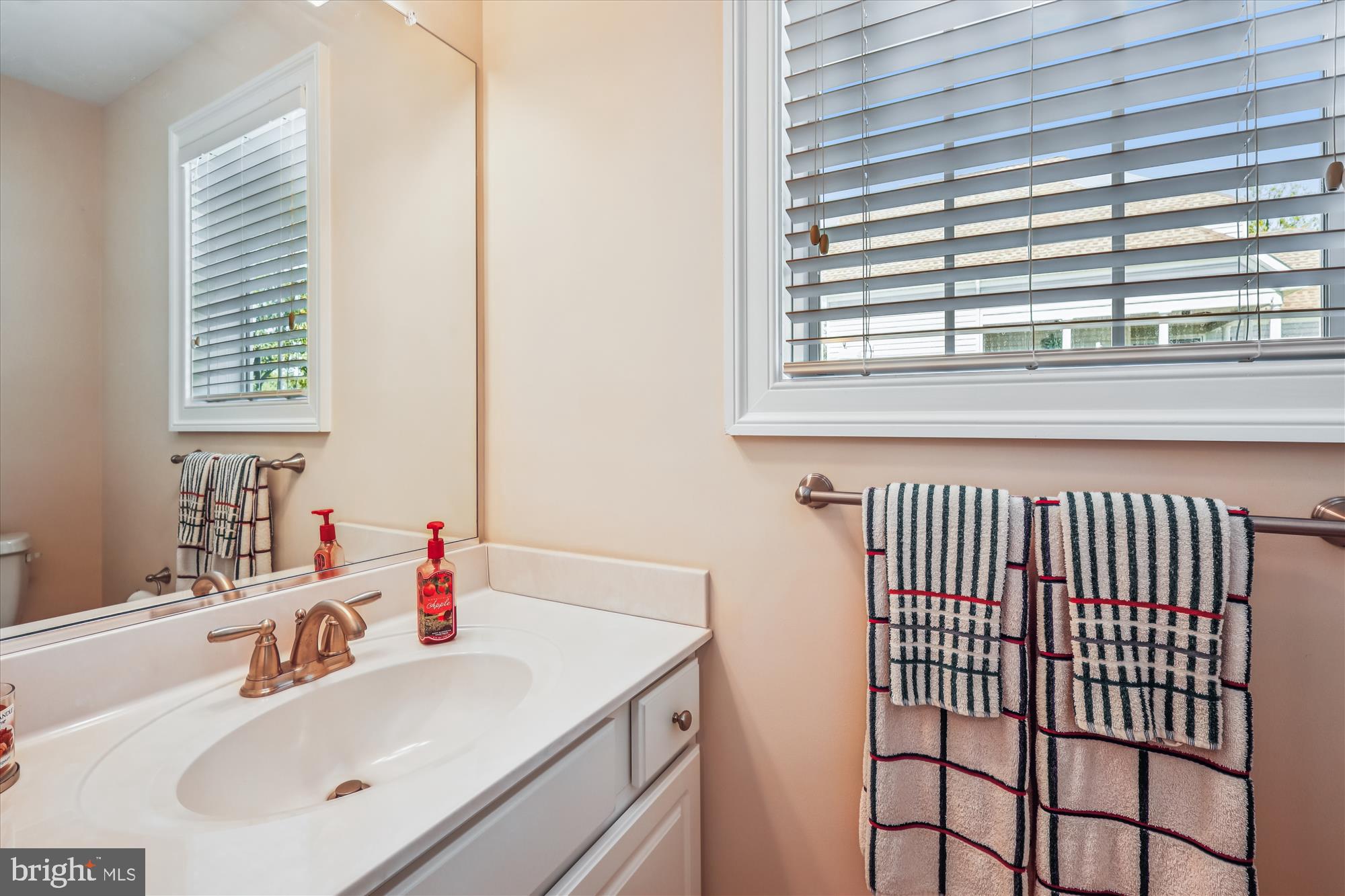 635 Dominion Road Chester, MD 21619 - Photo 40 of 50 a bathroom with a sink and a mirror