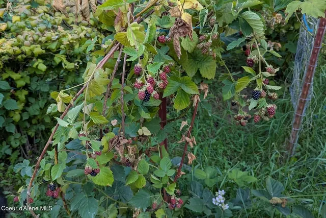 $760,000 | 870 Samuels Road, Sandpoint, ID 83864