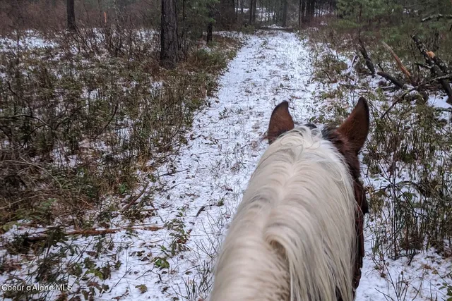 $760,000 | 870 Samuels Road, Sandpoint, ID 83864