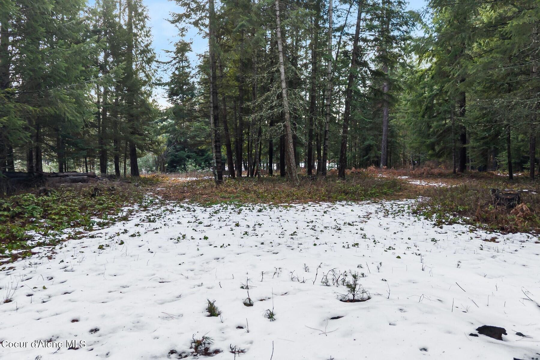 870 Samuels Road Sandpoint, ID 83864 - Photo 57 of 66 Enjoy Trees & Trails