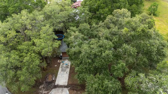 a view of a forest with a building