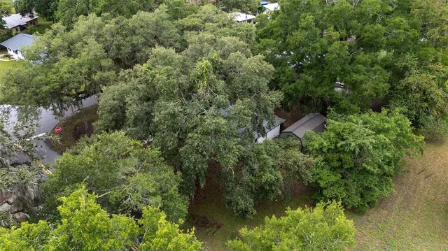an aerial view of residential house with outdoor space and trees all around