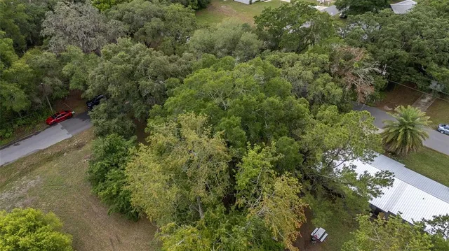 a view of a forest with a houses