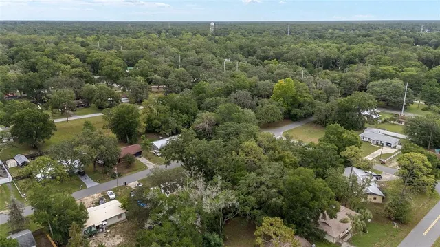 an aerial view of forest
