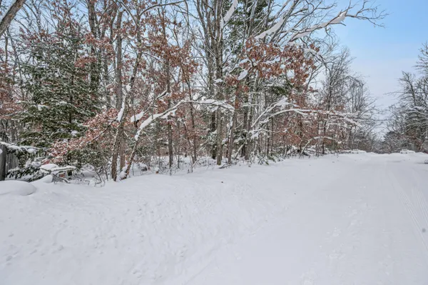 $10,500 | V/l V/l Bagnall Boulevard, Baldwin, MI 49304